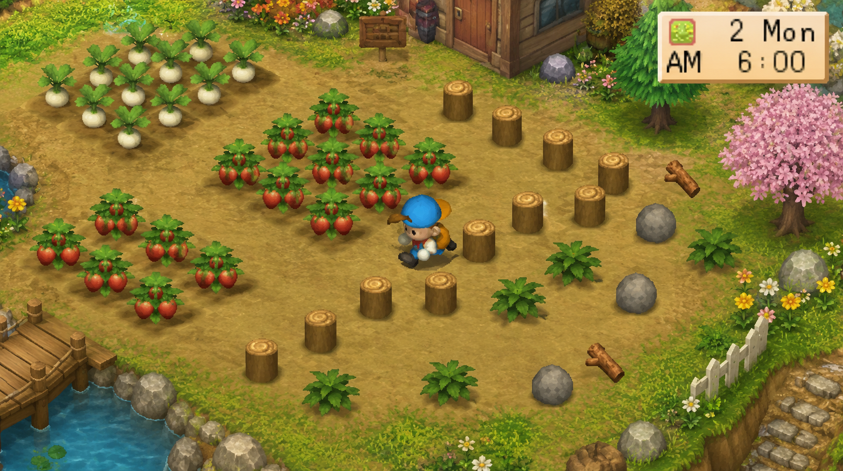 Kenapa Kamu Harus Coba Main Cozy Games? 